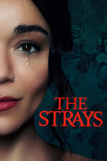 The Strays | Netflix (2023) คนหลงทาง