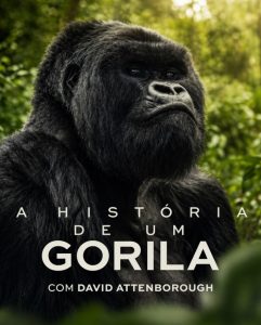 เล่าเรื่องกอริลลา โดยเดวิด แอทเทนเบอเรอห์ (พากย์ไทย) A Gorilla Story (2026)